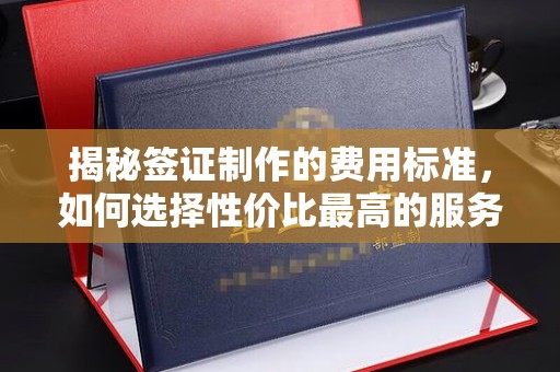 韩城揭秘签证制作的费用标准，如何选择性价比最高的服务？